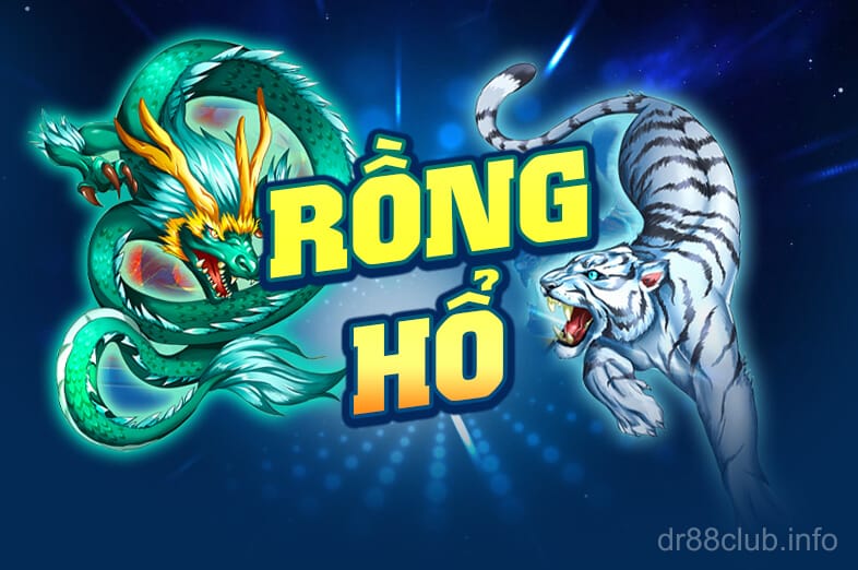 Rồng Hổ Bàn 12